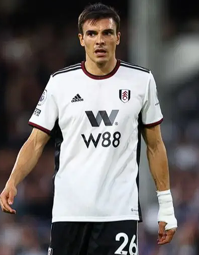 曼联中场引援:老将之选与帕利尼亚适配性探讨