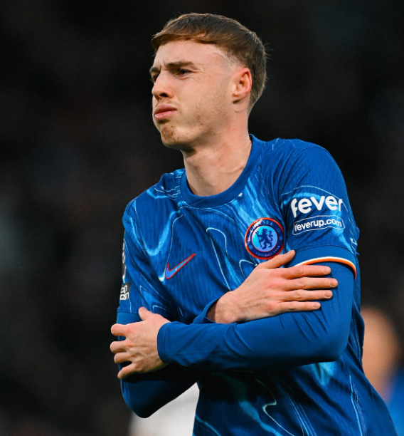 切尔西球员帕尔默伤病进展及球队应对策略分析