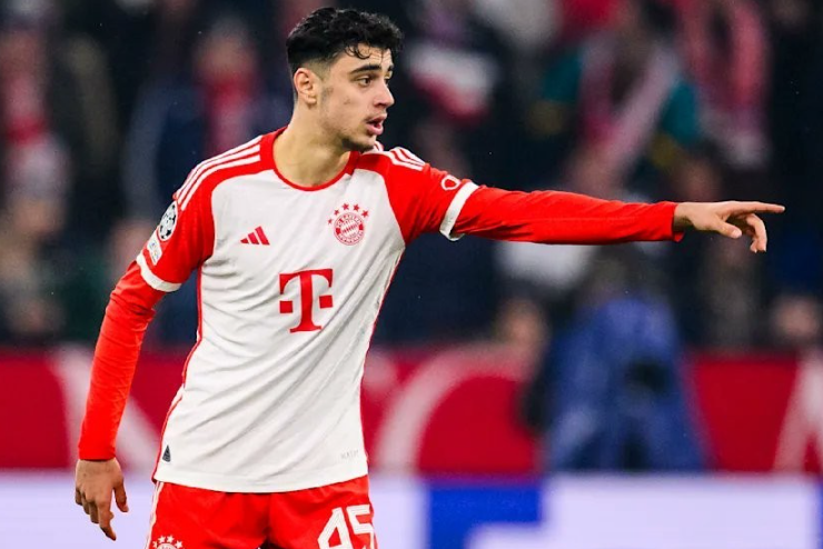 拜仁逆转弗赖堡:帕夫洛维奇谈赛场得失与<a href='https://www.www.niaodie.cn/news/tag/260.html' style='color: blue;'>欧冠</a>备战